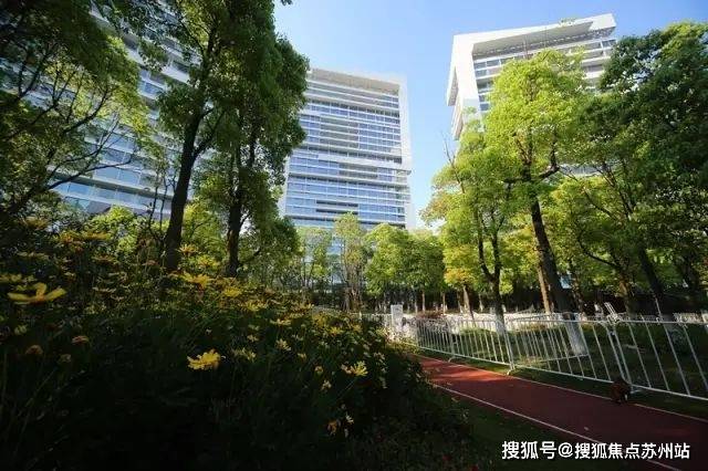 林首页网站-售楼处欢迎您楼盘详情价格户型人生就是搏中鹰黑森林售楼中心-中鹰黑森(图2)