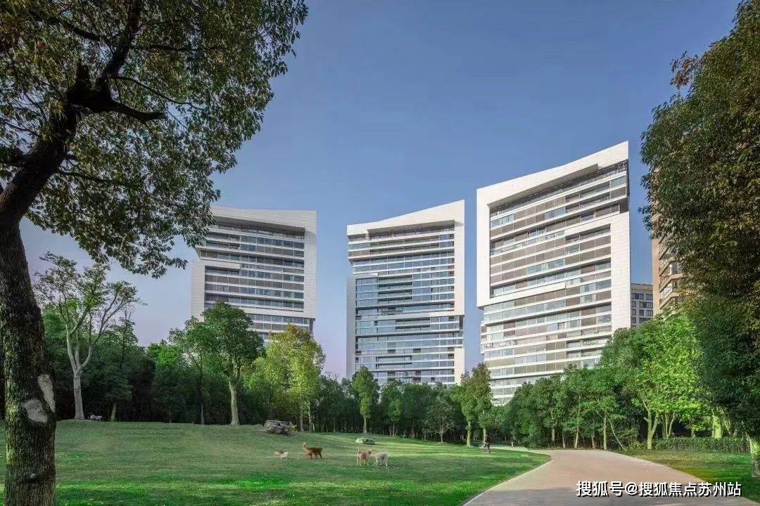 林首页网站-售楼处欢迎您楼盘详情价格户型人生就是搏中鹰黑森林售楼中心-中鹰黑森(图23)