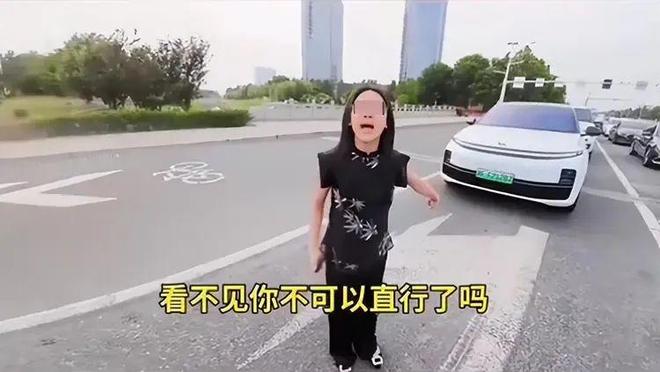 续：女司机气到流产公布完整行车记录仪尊龙AG网站河北女司机与骑手冲突后(图2)